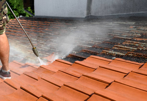 Best Residential Pressure Washing Services  in Daniels, WV