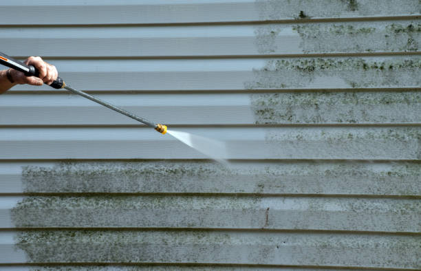 Best Roof Pressure Washing  in Daniels, WV